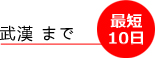 最短で武漢まで10日